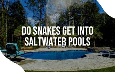Do Snakes Get Into Saltwater Pools?